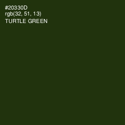 #20330D - Turtle Green Color Image